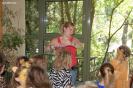 wcv_20070506_th_001
