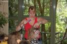 wcv_20070506_th_002