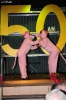 wcv_20111111_aw_086
