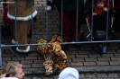 wcv_2012-02-19_aw_219