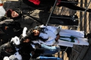 wcv_2012-02-19_aw_228