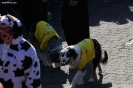 wcv_2012-02-19_aw_263