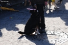 wcv_2012-02-19_aw_264