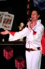 wcv_2014-02-08_aw_2180 