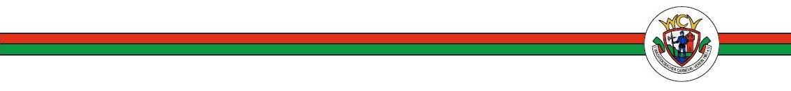 banner unten 2013